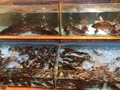 水产区-饭怕鱼(阳光100店)
