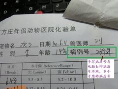 假证-宠颐生中康贝怡动物医院