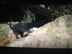 -天幕新彩云国际影城(激光巨幕店)