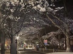 -鸡鸣寺