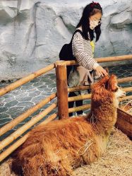 -Zoolung Zoolung动物主题公园(海信广场店)