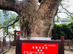 -新安江山水画廊风景区