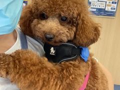 -萌兽医馆·犬猫专科·眼科中心·宠物医院(朝阳门分院)