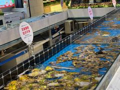 -川骄海鲜自助(河东店)