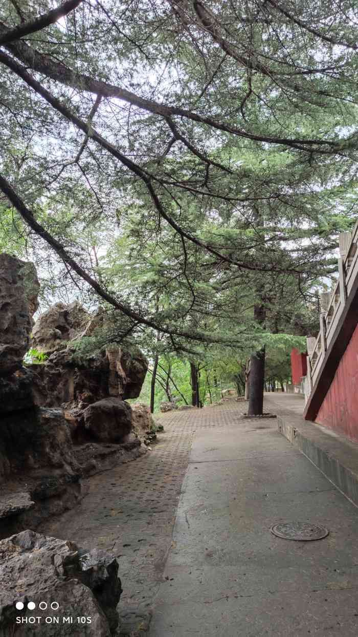 南山公园-"这里是一个原阳泉地标建筑,有五六十年的历.