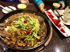 -老板恋上鱼(环山路店)