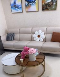 -薇兰专业脱毛连锁机构