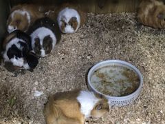 -上海大自然野生昆虫馆