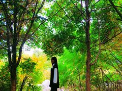 -长春世界雕塑园冰雪艺术天地