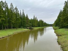 -黄海国家森林公园