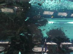 -迪拜帆船酒店海底餐厅