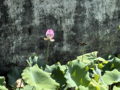 -兰亭风景区