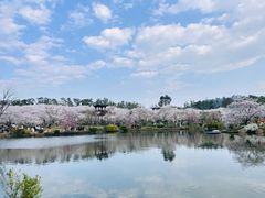 -黄浦路(地铁站)