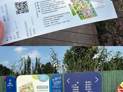 -菊园百果园