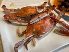 -渔民船说·北塘海鲜·天津菜·海肠捞饭(北塘古镇店)