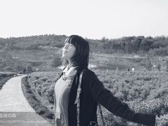 -大塘金香草谷