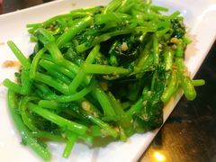 清炒茼蒿-温度铁板烧(前进大街店)