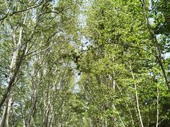 -君之悦·影院式足道·养生SPA(回兴店)