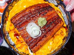 -dodonpa.墩墩伐 便当食堂(博华广场店)