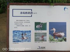 -大兴滨河森林公园