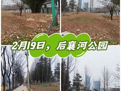 -后襄河公园