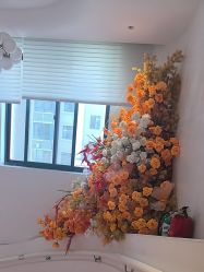 -WENDY·温迪皮肤管理