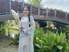 -上海长兴岛郊野公园