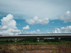 -光明小镇欢乐田园