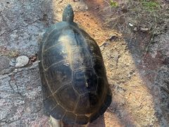 -崀山风景名胜区