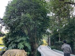 -上海虹桥迎宾馆
