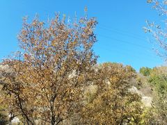 -阳台山自然风景区