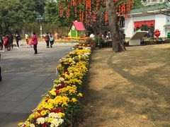 -晓港公园