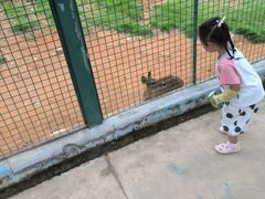 -泉州海丝野生动物世界