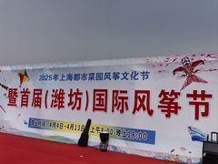 -上海都市菜园