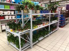 -华润万家(华夏店)