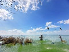 -捞渔河湿地公园
