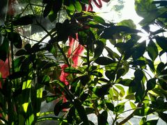 -珍巷福地四合院菜馆(复兴门店)