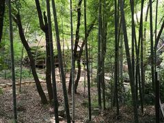 -宝岩生态观光园