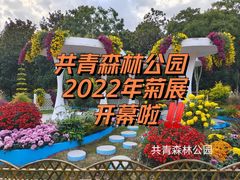 -上海共青森林公园