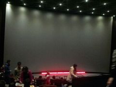 android_upload_pic-首都电影院(天津店 中国巨幕)