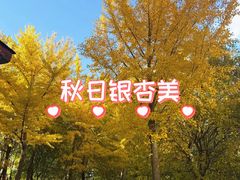 -丰台花园