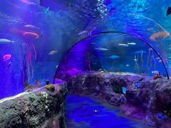 -沈阳海洋探索中心