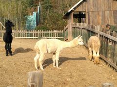 景点-茅山东方盐湖城景区