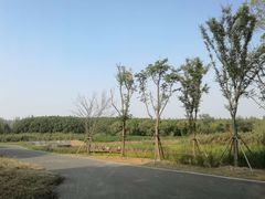 -同里国家湿地公园