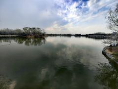 -大兴滨河森林公园