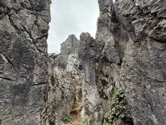 -泥凼石林风景区