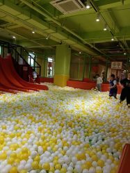 -宝燕乐园(闵行旗舰店)