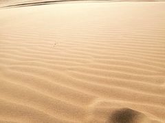 -迪拜沙漠冲沙