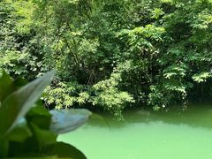 -将军关探险漂流