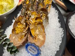 鲜活小青龙-东海怡品海鲜豆捞(星街坊店)